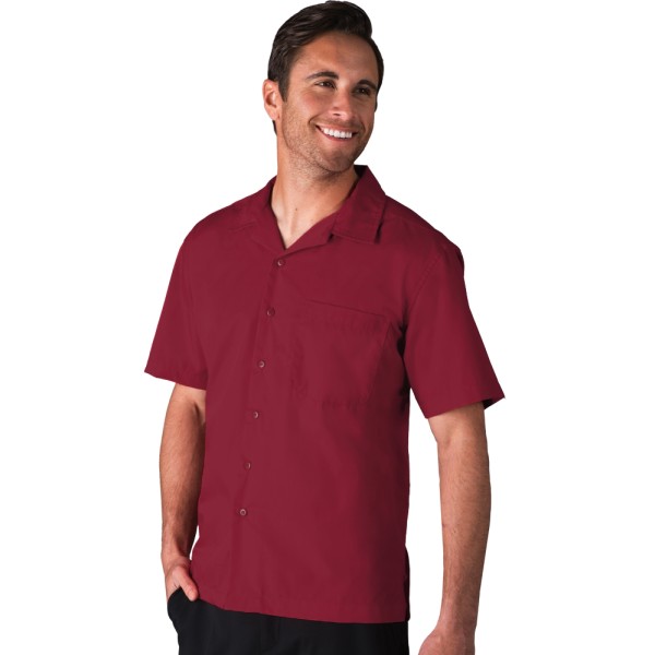 BG3100 Blue Generation Burgundy