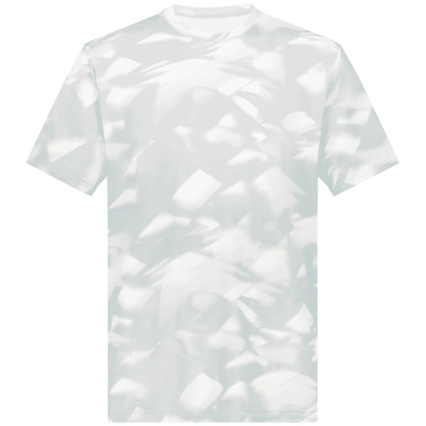 222596 Holloway SILVER GLACIER PRINT