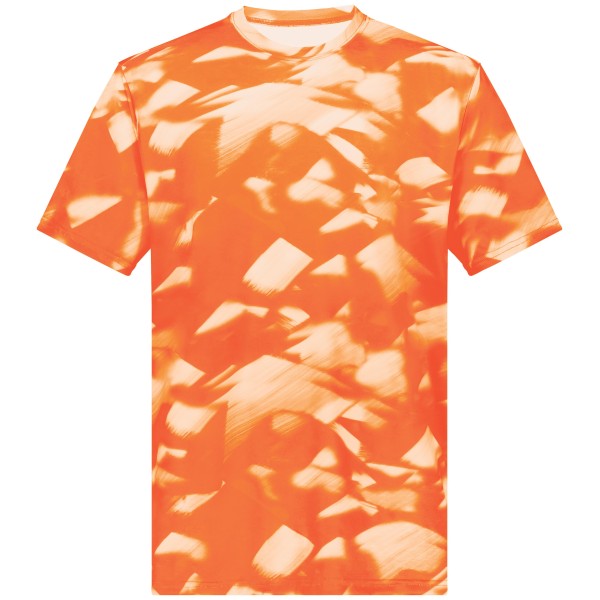 222596 Holloway ORANGE GLACIER PRINT