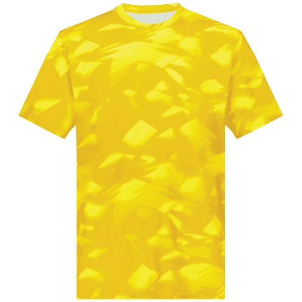 222596 Holloway GOLD GLACIER PRINT