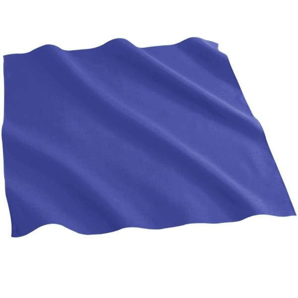 2226 Augusta Sportswear Purple