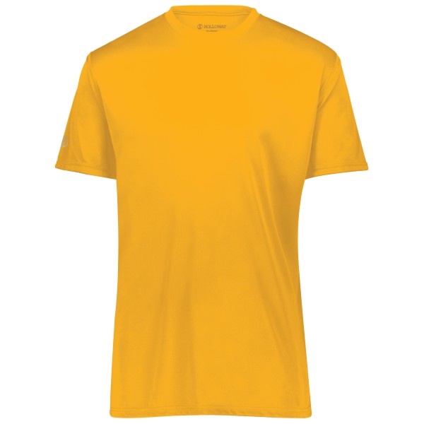 222818 Holloway Gold
