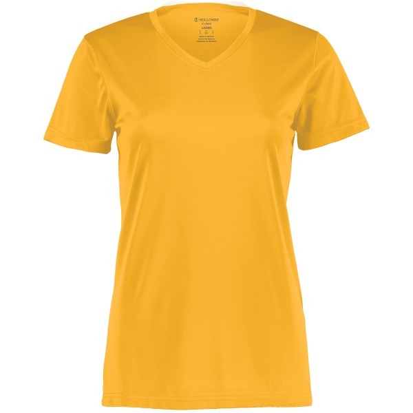 222820 Holloway Gold