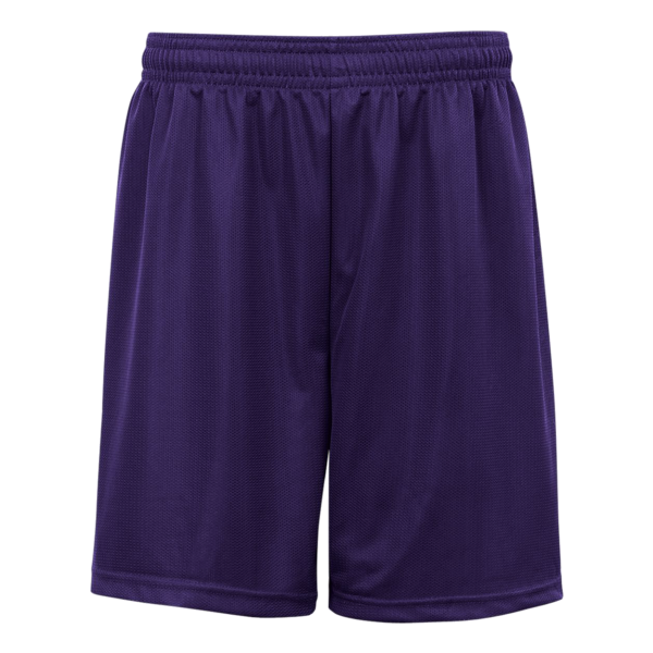 223700B Badger PURPLE (BA)