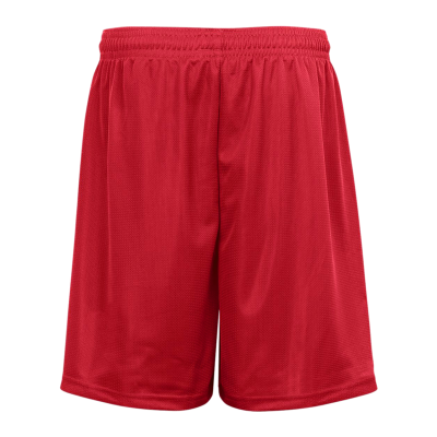 Badger 223700B