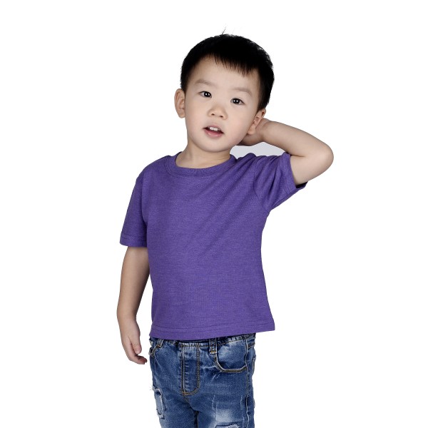 IC1040 Cotton Heritage Purple Heather