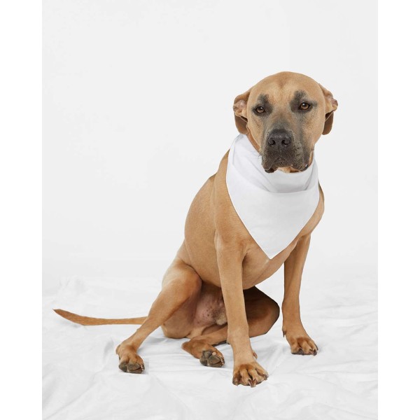 3905 Doggie Skins White