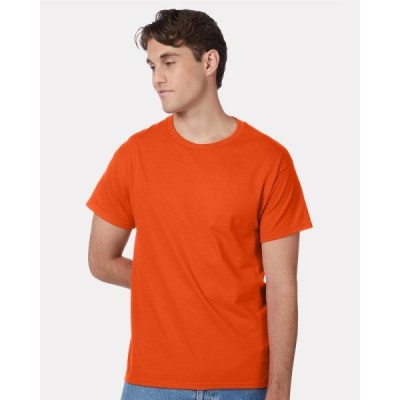 Hanes 5250 Authentic T-Shirt