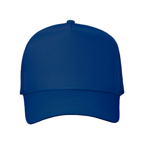 8804H Valucap Royal Blue