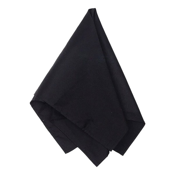 BA001 Big Accessories Black