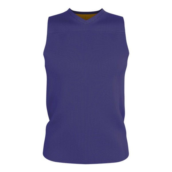 A105BY Alleson Athletic Purple/ Gold