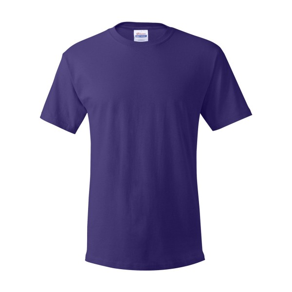 5280 Hanes Purple